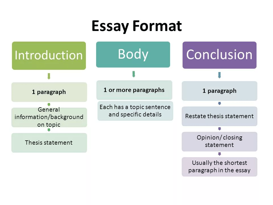 psychology essay structure a level